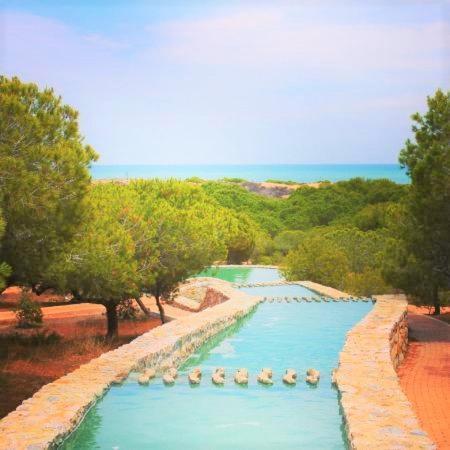 Apartment With Pool, Sea Views & Balcony Less Than 10Min Walk To La Mata Beach! Torrevieja Kültér fotó